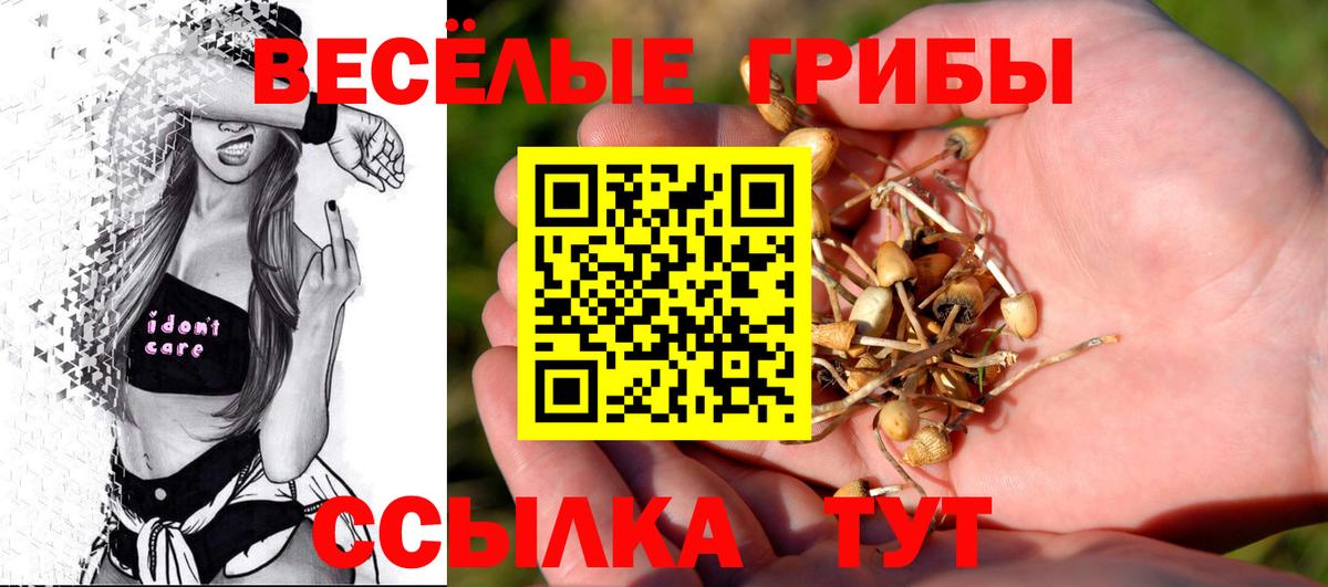 Псилоцибиновые грибы MAGIC MUSHROOMS Борисоглебск