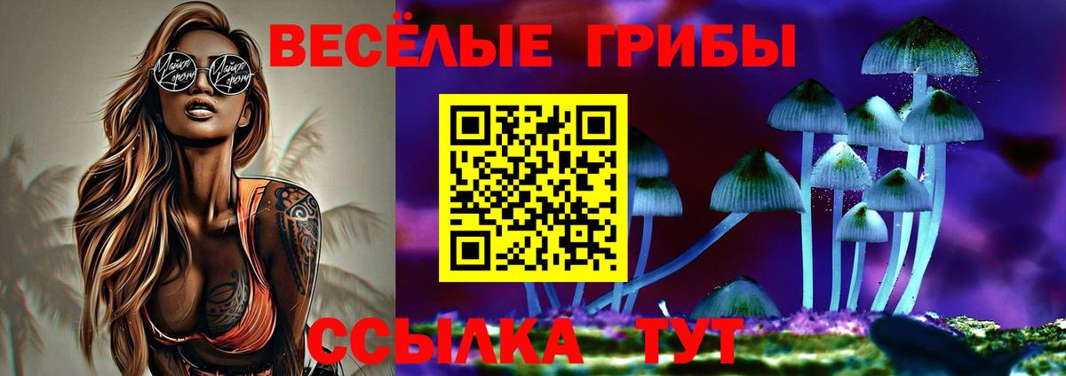 Борисоглебск  Псилоцибиновые грибы ЛСД  Вход с VPN 